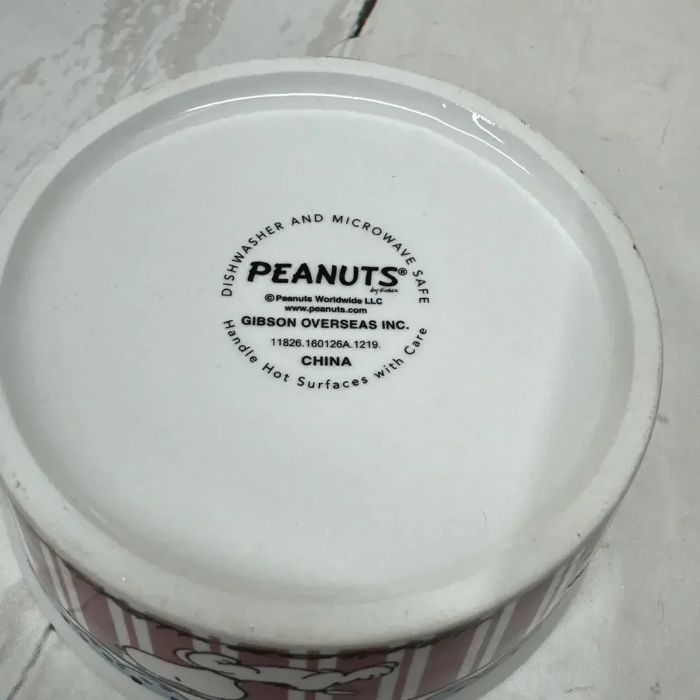 Gibson Peanuts Snoopy Pink Stripes Pet Bowl, 5” Diameter